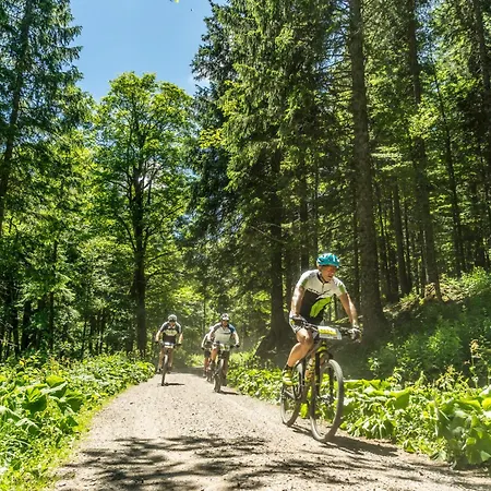 Drei Tannen - 11 - Apartmenthaus, Titisee, Feldberg Lägenhet *