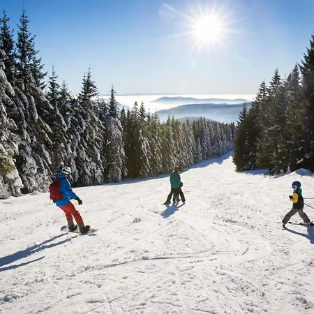 Drei Tannen - 11 - Apartmenthaus, Titisee, Feldberg * Titisee-Neustadt