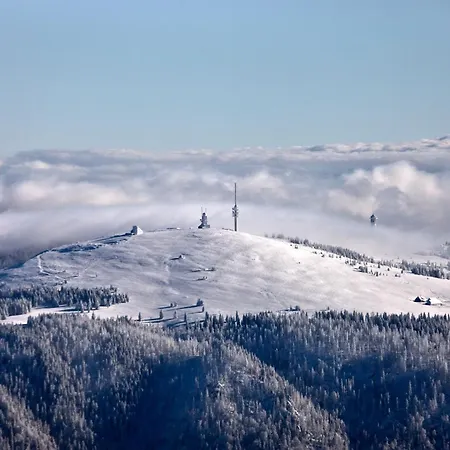 Drei Tannen - 11 - Apartmenthaus, Titisee, Feldberg