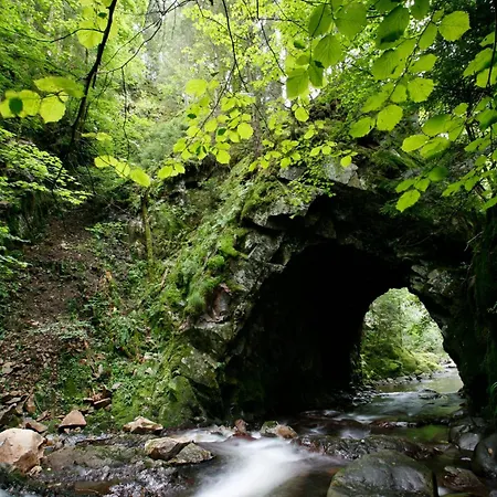 Drei Tannen - 11 - Apartmenthaus, Titisee, Feldberg Lägenhet Titisee-Neustadt