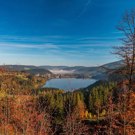 Lägenhet Drei Tannen - 11 - Apartmenthaus, Titisee, Feldberg Titisee-Neustadt