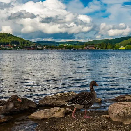 Drei Tannen - 11 - Apartmenthaus, Titisee, Feldberg