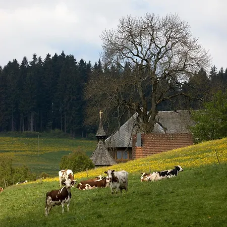 Drei Tannen - 11 - Apartmenthaus, Titisee, Feldberg Lägenhet Titisee-Neustadt