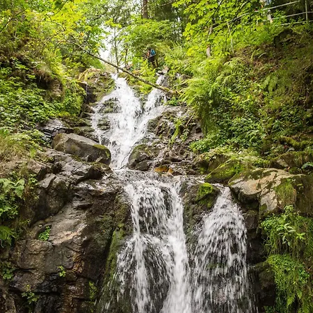 Lägenhet Drei Tannen - 11 - Apartmenthaus, Titisee, Feldberg Titisee-Neustadt