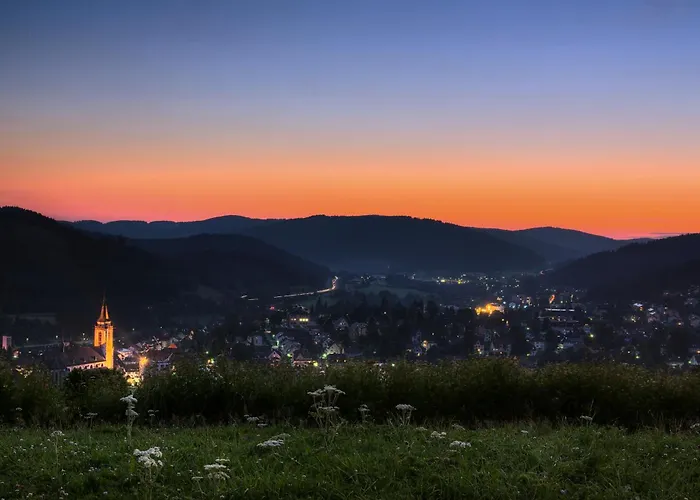 Drei Tannen - 11 - Apartmenthaus, Titisee, Feldberg Titisee-Neustadt