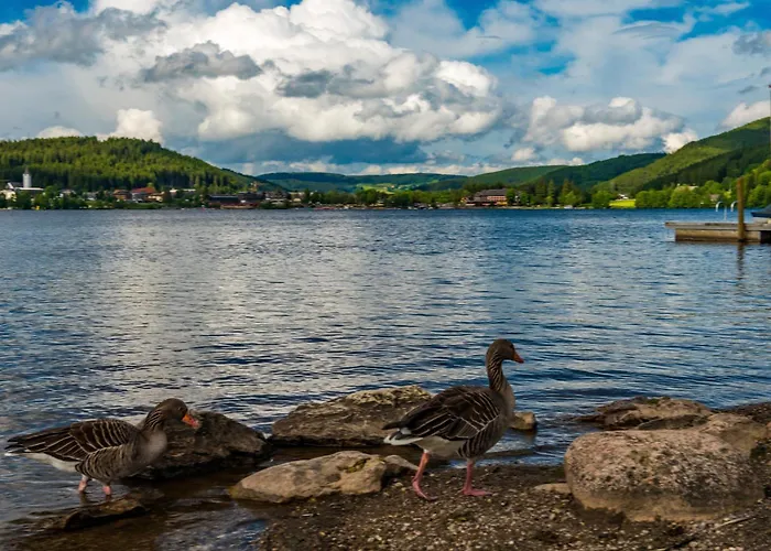 Drei Tannen - 11 - Apartmenthaus, Titisee, Feldberg